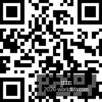 游戏的外在,美学,品牌,西甲直播,西甲直播平台,西甲直播App,西甲直播下载