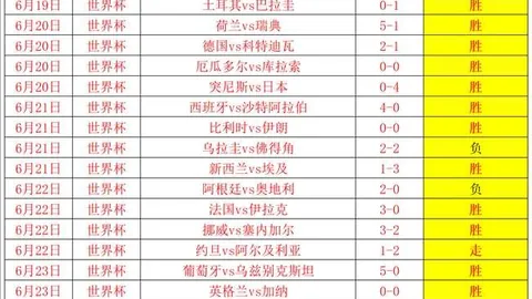2026FIFA世界杯主办国2026FIFA世界杯主办国